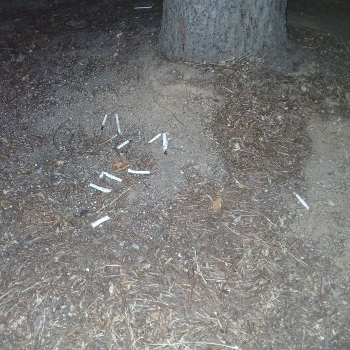  광양시.동네.쓰레기.플로깅