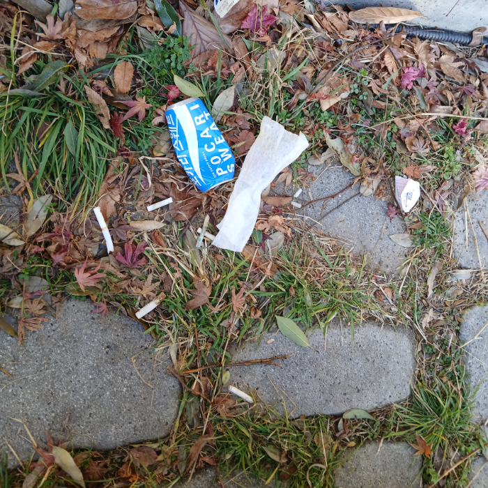  순천시.동네.쓰레기.플로깅