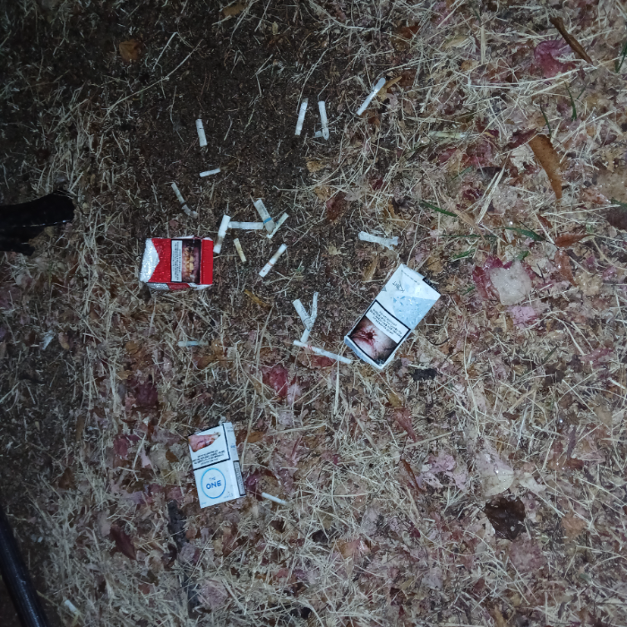  광양시.동네.쓰레기.플로깅