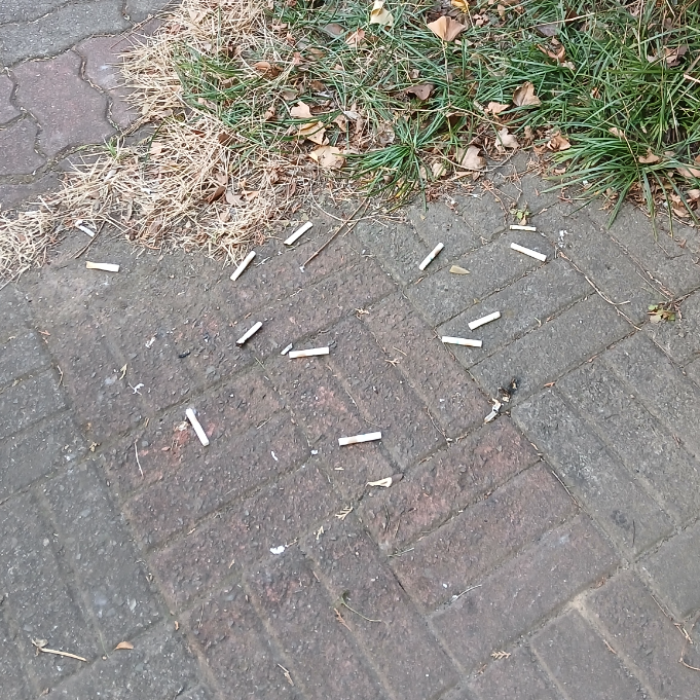  광양시.동네.쓰레기.플로깅