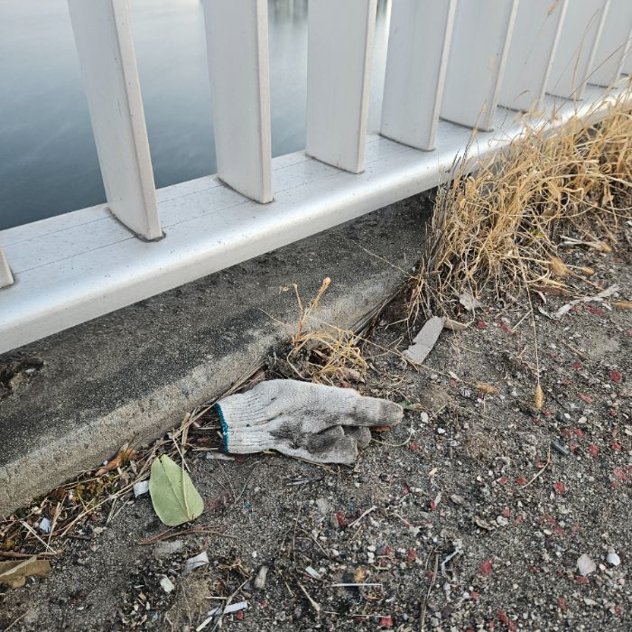  칠곡군.동네.쓰레기.플로깅