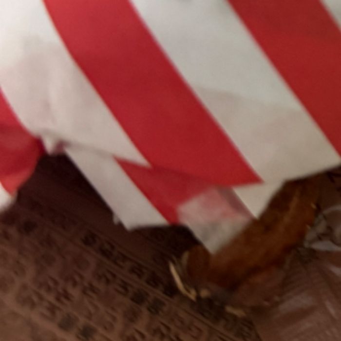  포항시.동네.쓰레기.플로깅