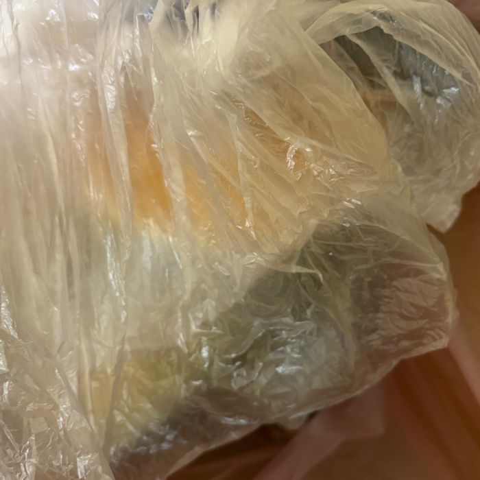  포항시.동네.쓰레기.플로깅