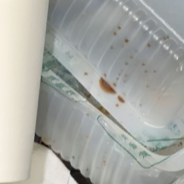  포항시.동네.쓰레기.플로깅