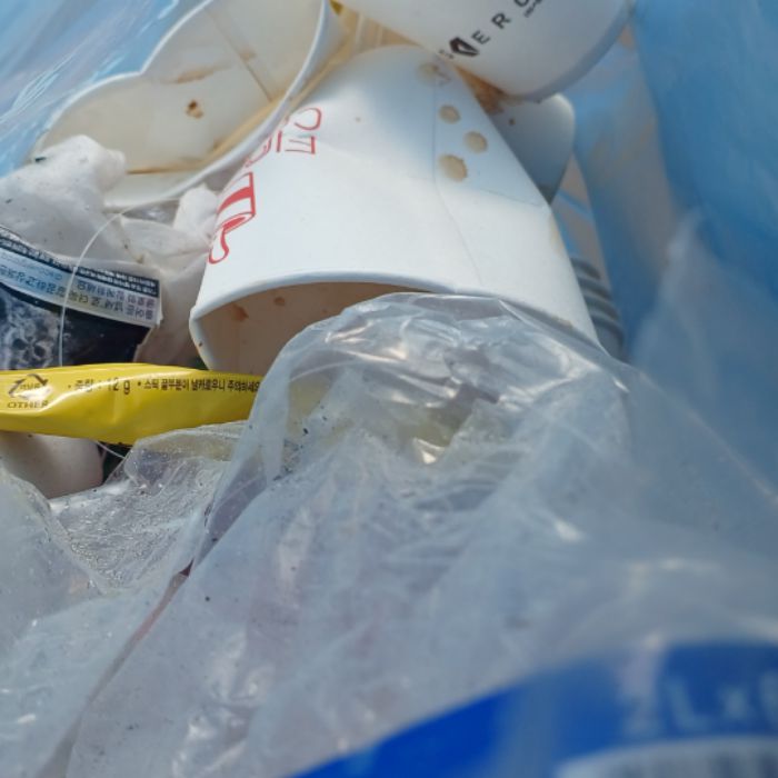  울진군.동네.쓰레기.플로깅