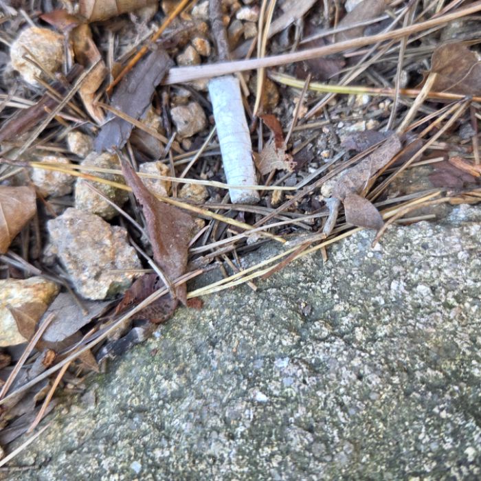  논산시.동네.쓰레기.플로깅