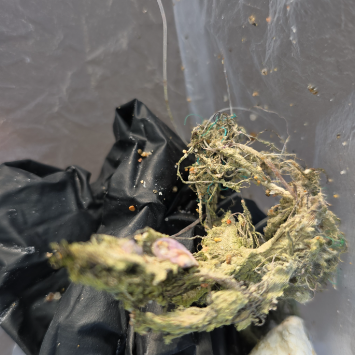  영덕군.동네.쓰레기.플로깅