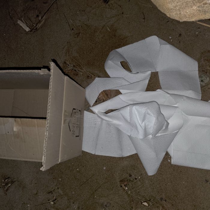  영덕군.동네.쓰레기.플로깅