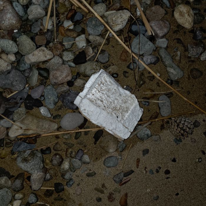  영덕군.동네.쓰레기.플로깅