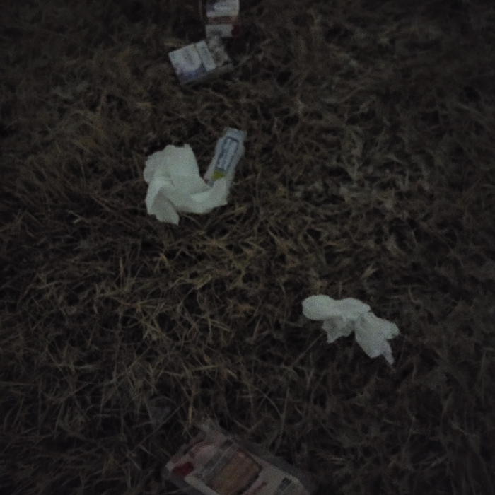  광양시.동네.쓰레기.플로깅