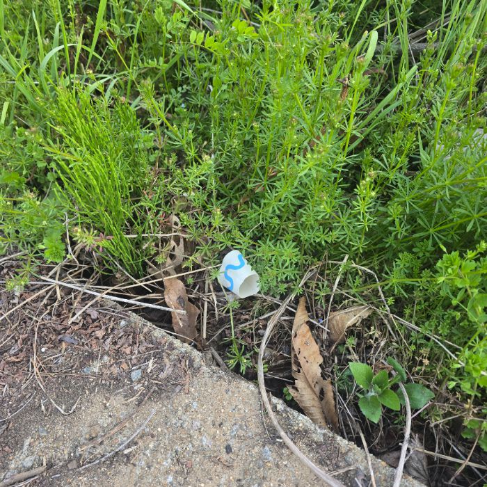  서산시.동네.쓰레기.플로깅