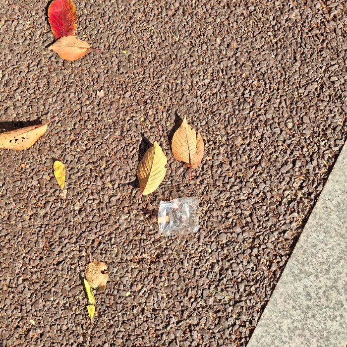  서울강남구.동네.쓰레기.플로깅