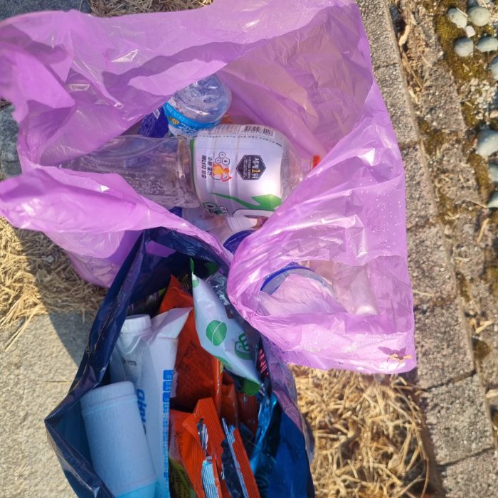  춘천시.동네.쓰레기.플로깅