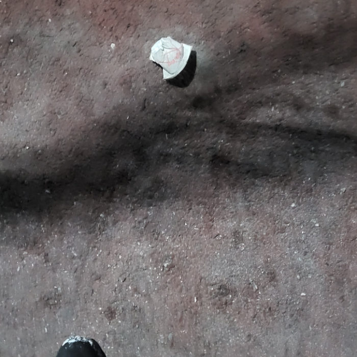  춘천시.동네.쓰레기.플로깅