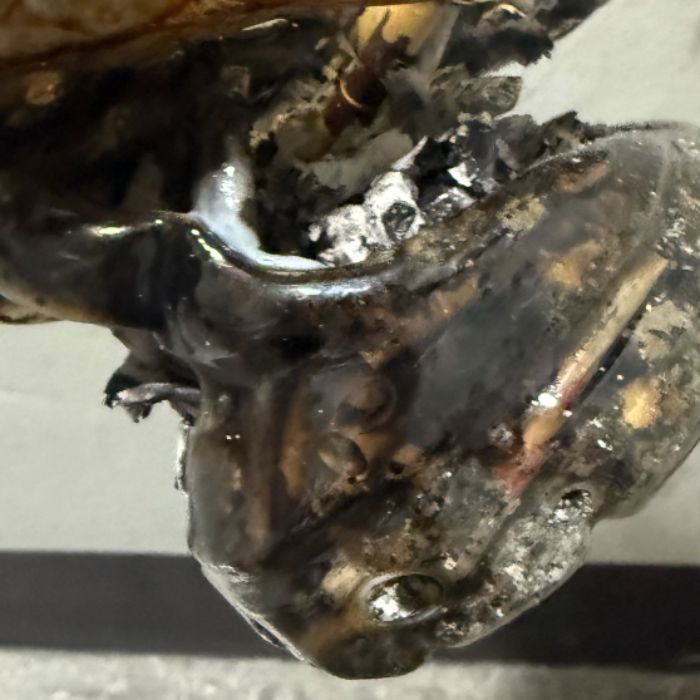  경산시.동네.쓰레기.플로깅