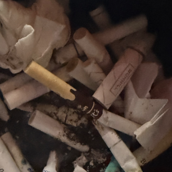  경산시.동네.쓰레기.플로깅