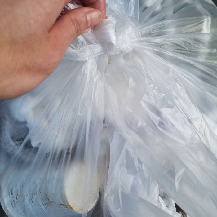  포항시.동네.쓰레기.플로깅