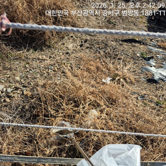  부산강서구.동네.쓰레기.플로깅