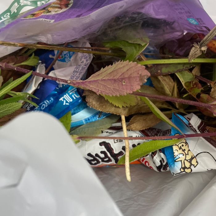  세종시조치원읍.동네.쓰레기.플로깅