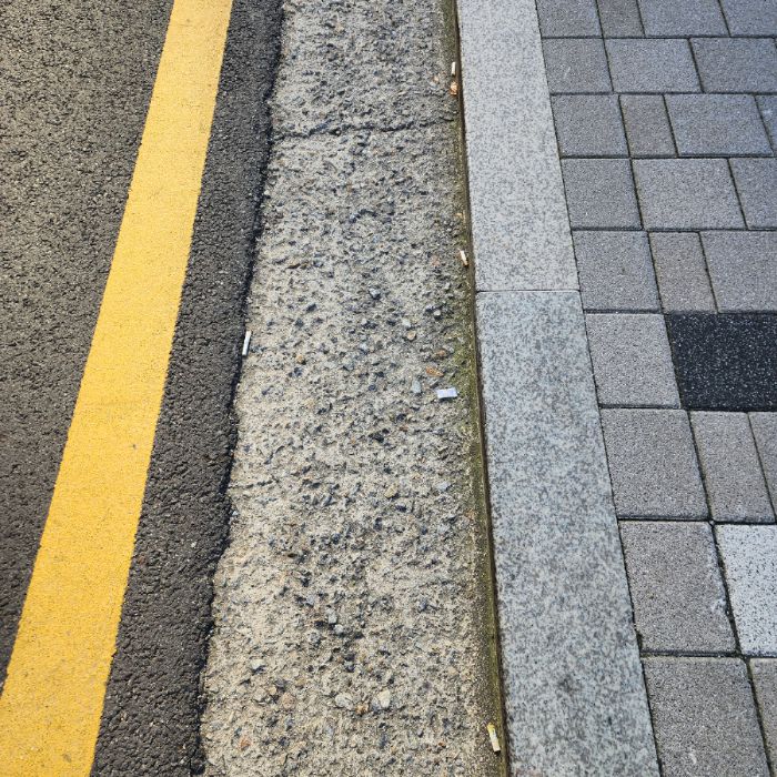  서울강남구.동네.쓰레기.플로깅