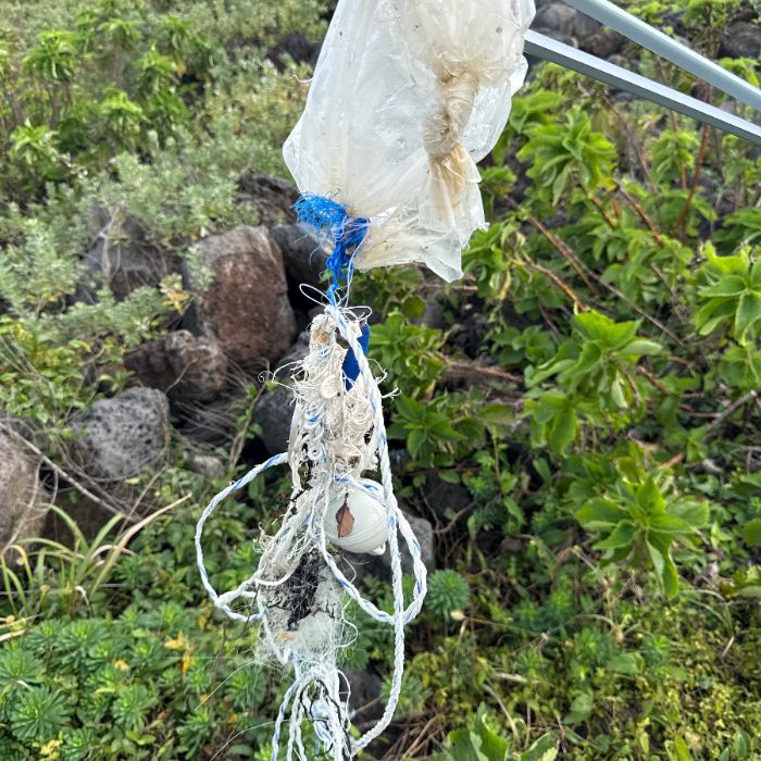  제주시.동네.쓰레기.플로깅
