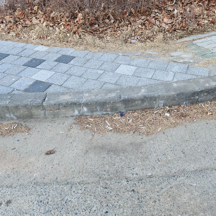  구미시.동네.쓰레기.플로깅