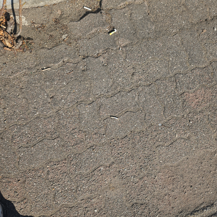  태백시.동네.쓰레기.플로깅