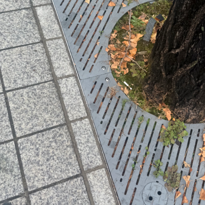  서울강남구.동네.쓰레기.플로깅