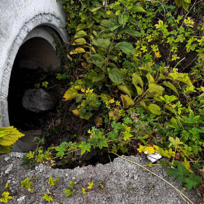  서귀포시.동네.쓰레기.플로깅