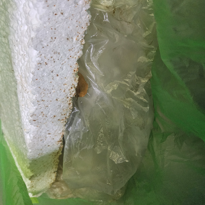  춘천시.동네.쓰레기.플로깅