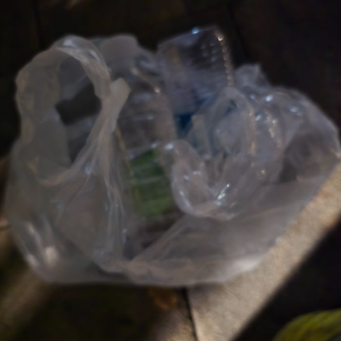  서울강남구.동네.쓰레기.플로깅