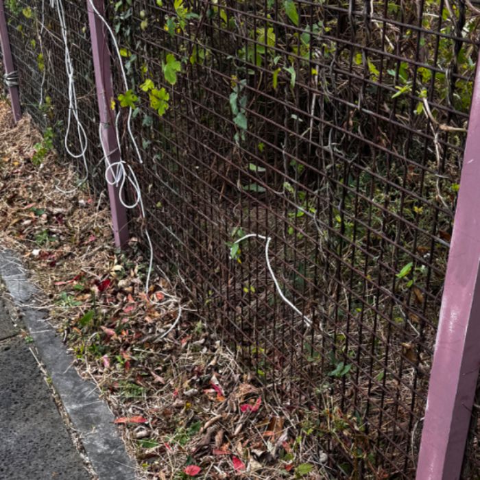  서귀포시.동네.쓰레기.플로깅