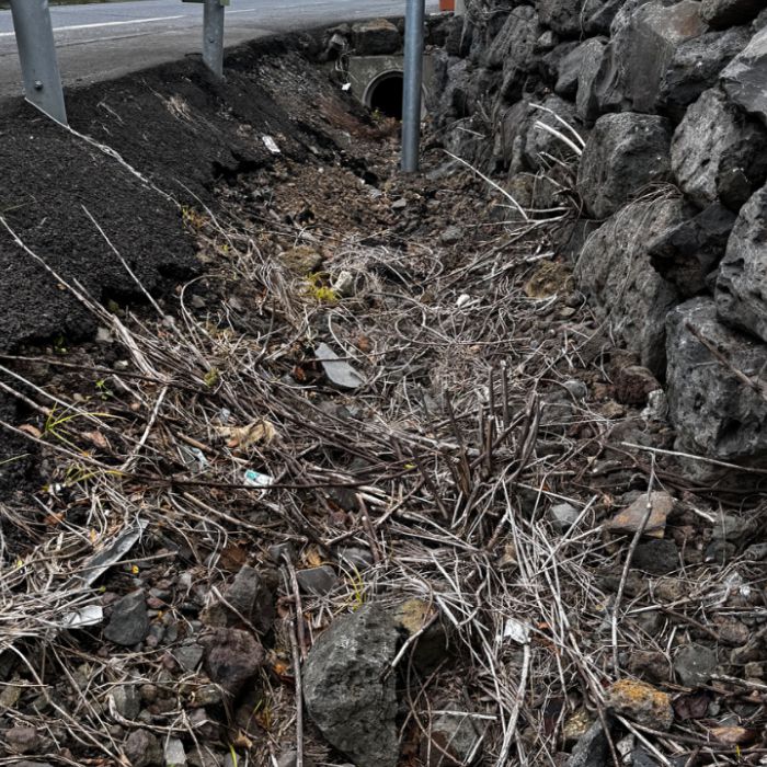  서귀포시.동네.쓰레기.플로깅