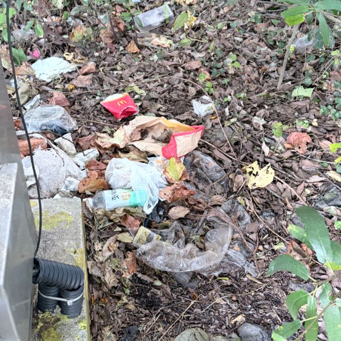  서귀포시.동네.쓰레기.플로깅