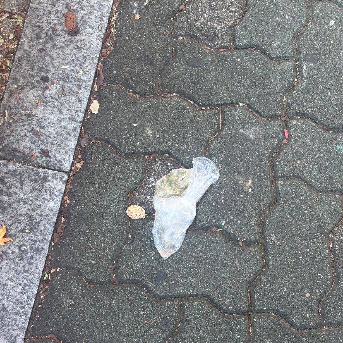  서울강남구.동네.쓰레기.플로깅