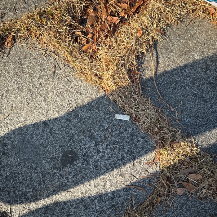  서울서초구.동네.쓰레기.플로깅