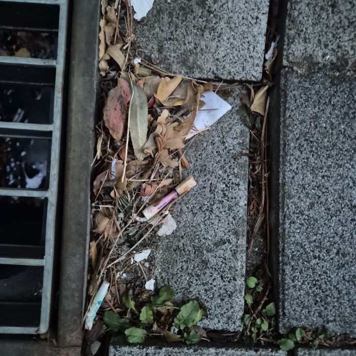  강릉시.동네.쓰레기.플로깅