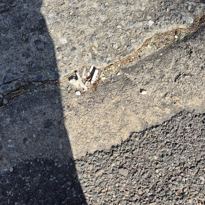  강릉시.동네.쓰레기.플로깅