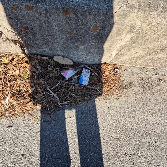  강릉시.동네.쓰레기.플로깅