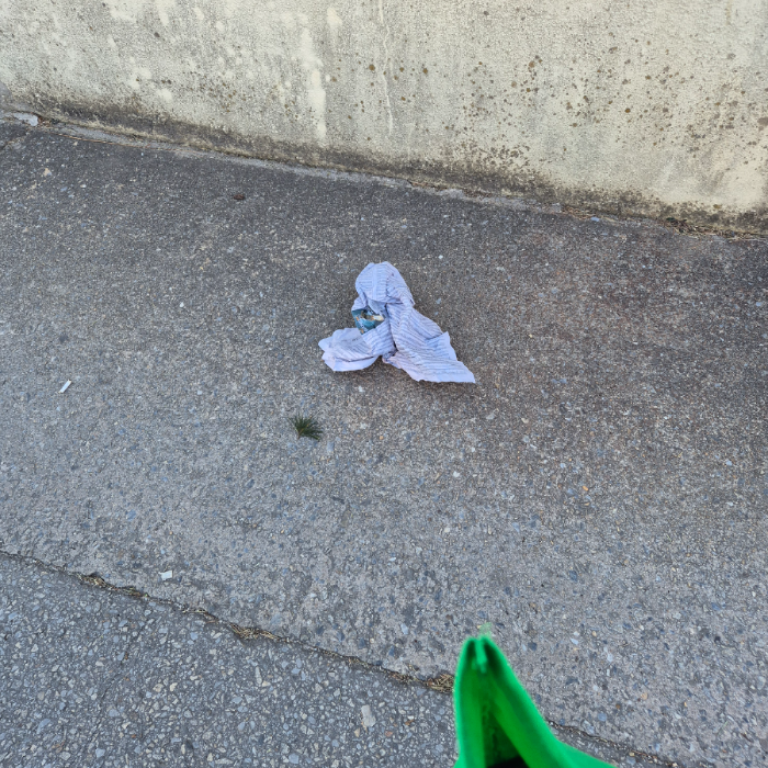  강릉시.동네.쓰레기.플로깅