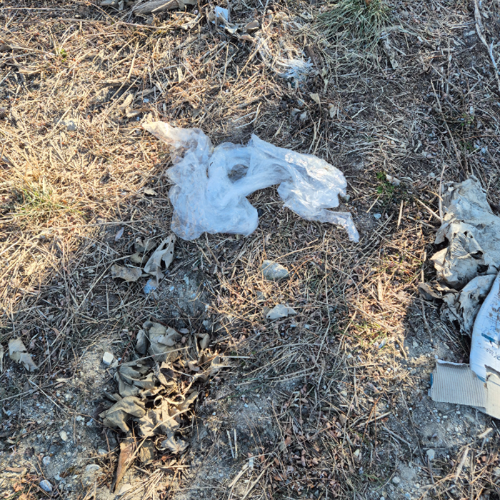  강릉시.동네.쓰레기.플로깅