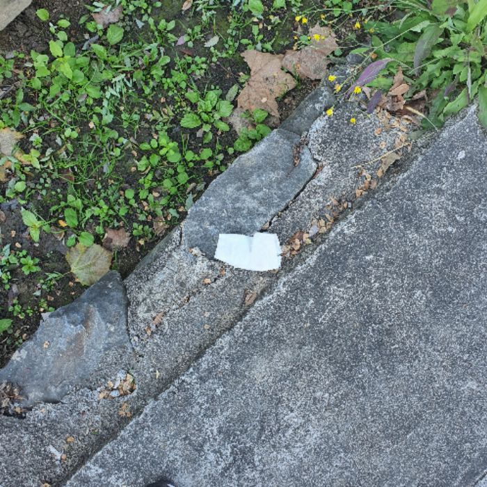  서울성동구.동네.쓰레기.플로깅